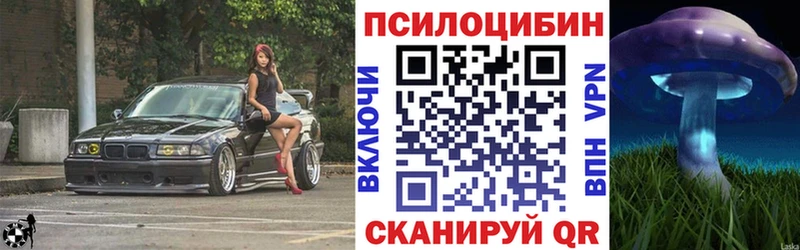 Галлюциногенные грибы Magic Shrooms  Суворов 